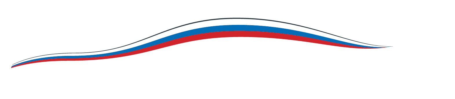 Иконка автобиля года 2023 в виде флага России